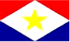 vlag